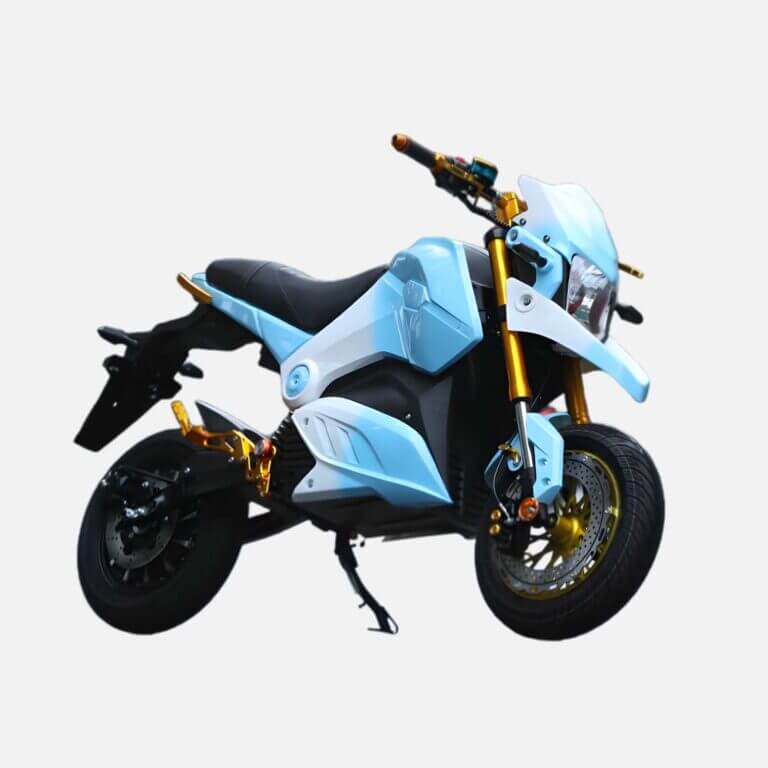 Facigoo Aigle Divin Scooter électrique haute performance