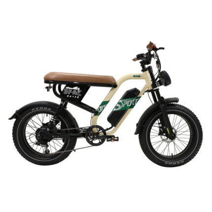 Facigoo W66 vélo électrique de style moto