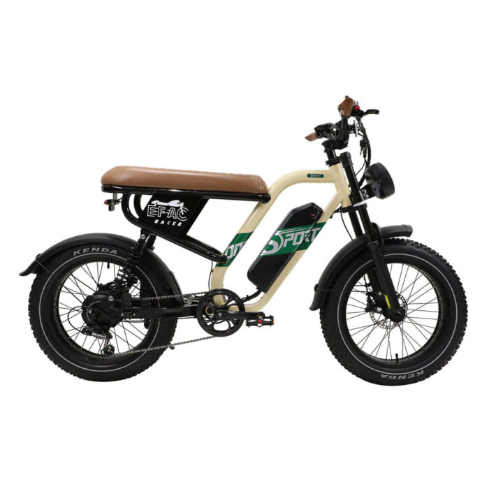 Facigoo W66 vélo électrique de style moto – Image 1